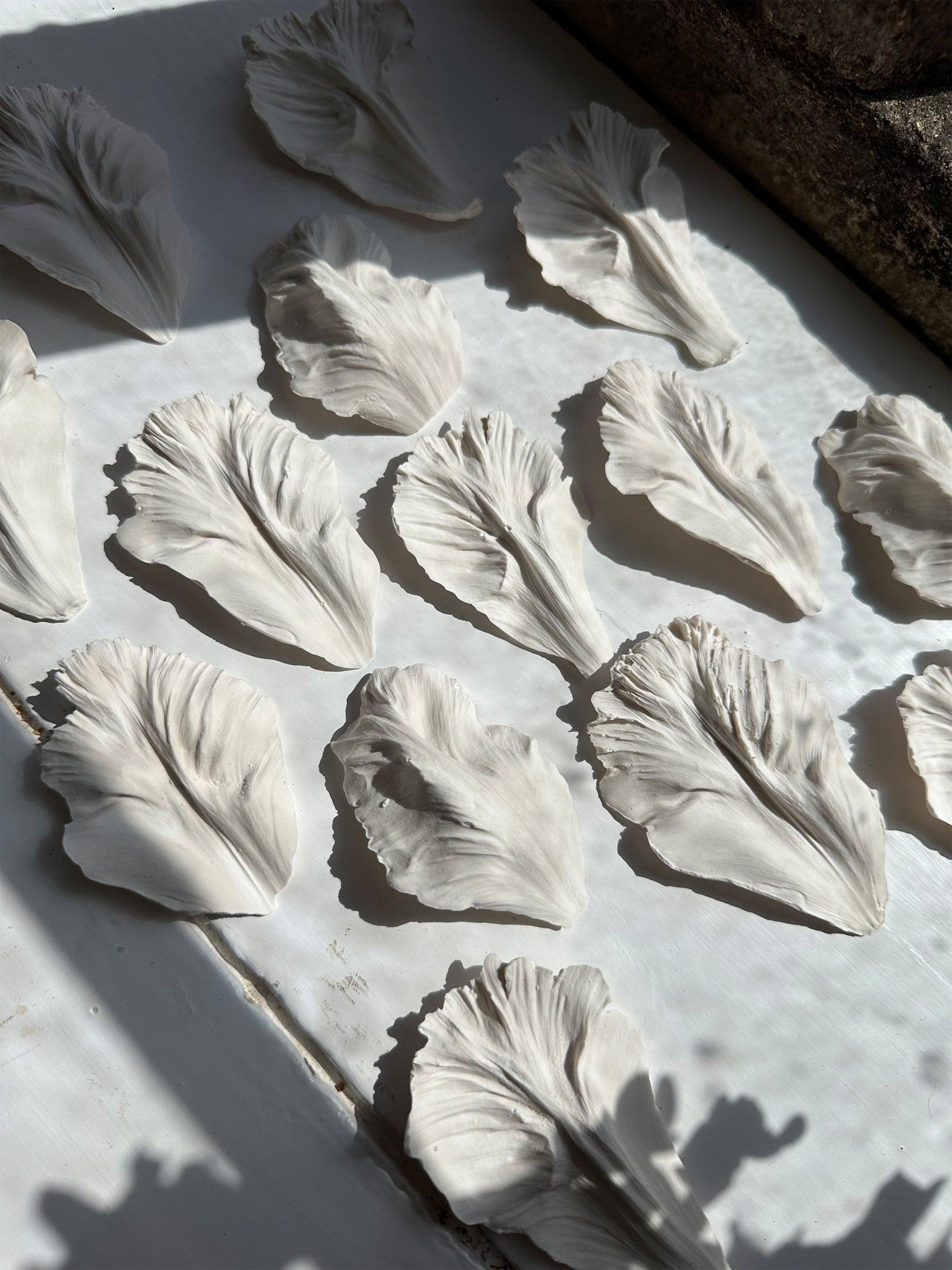 Decorative plaster tulip petal