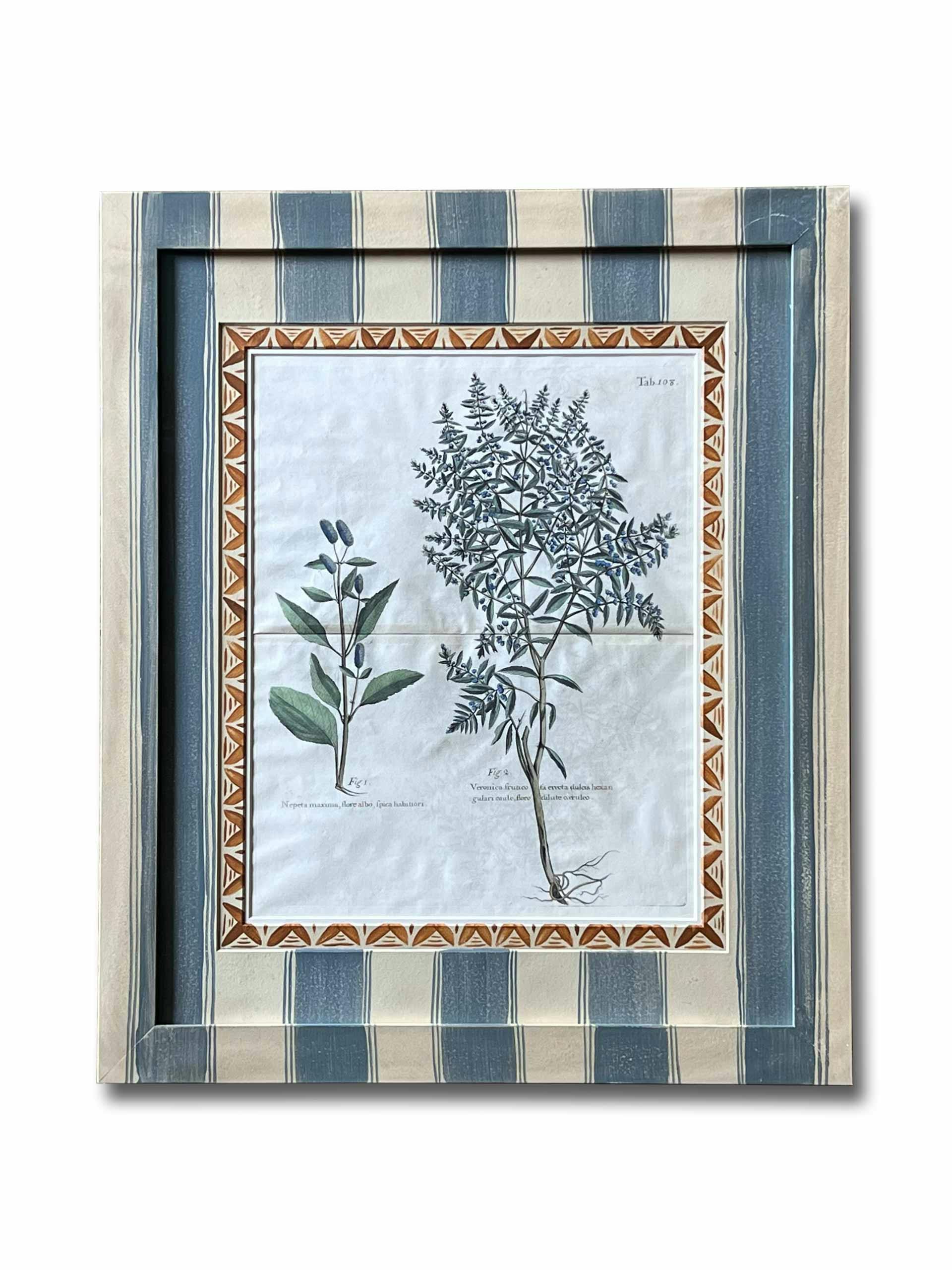 Hand-painted frame and 18th-century Sloane botanical mat