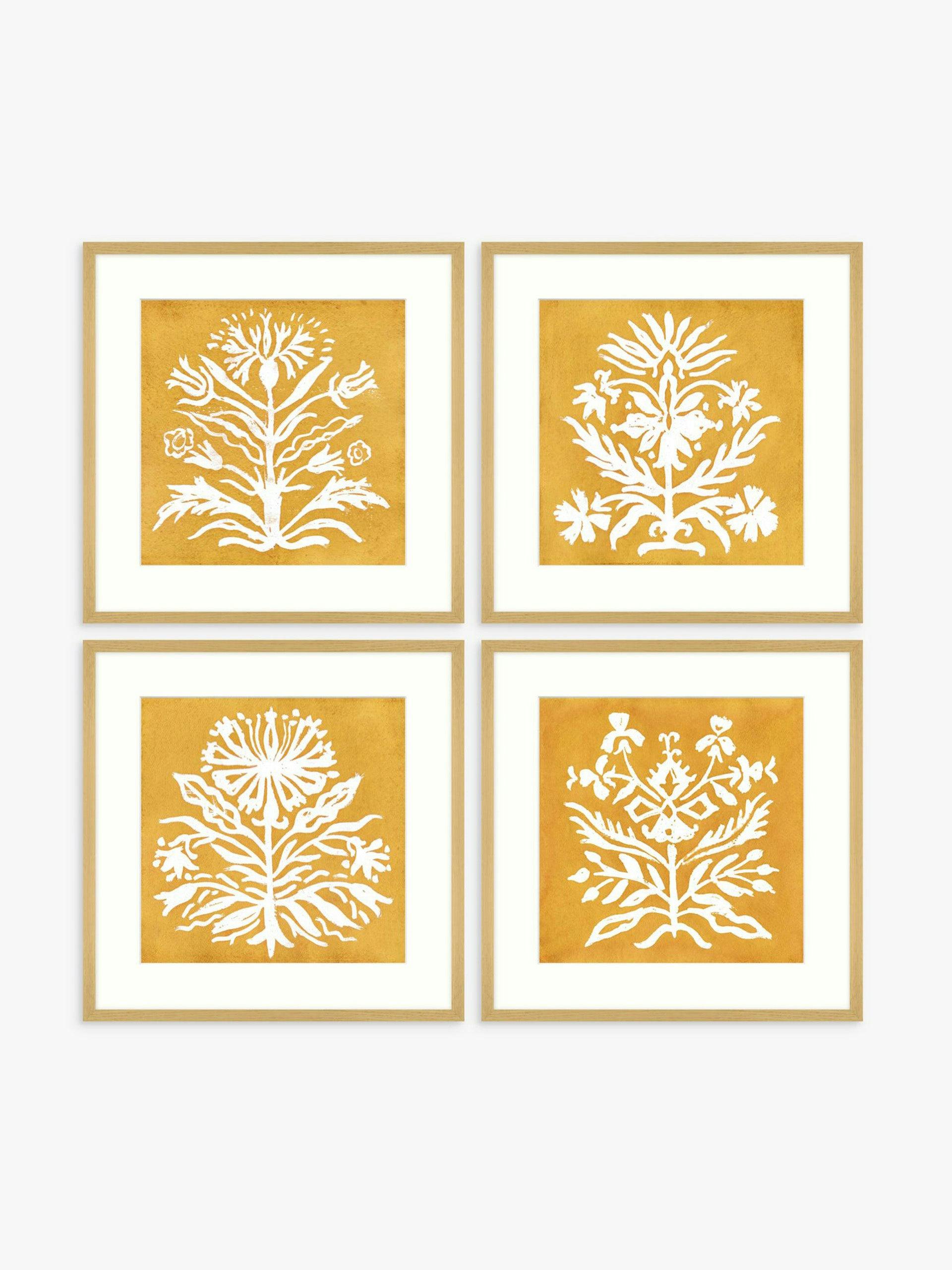 Coreopsis' framed prints and mounts (set of 4)
