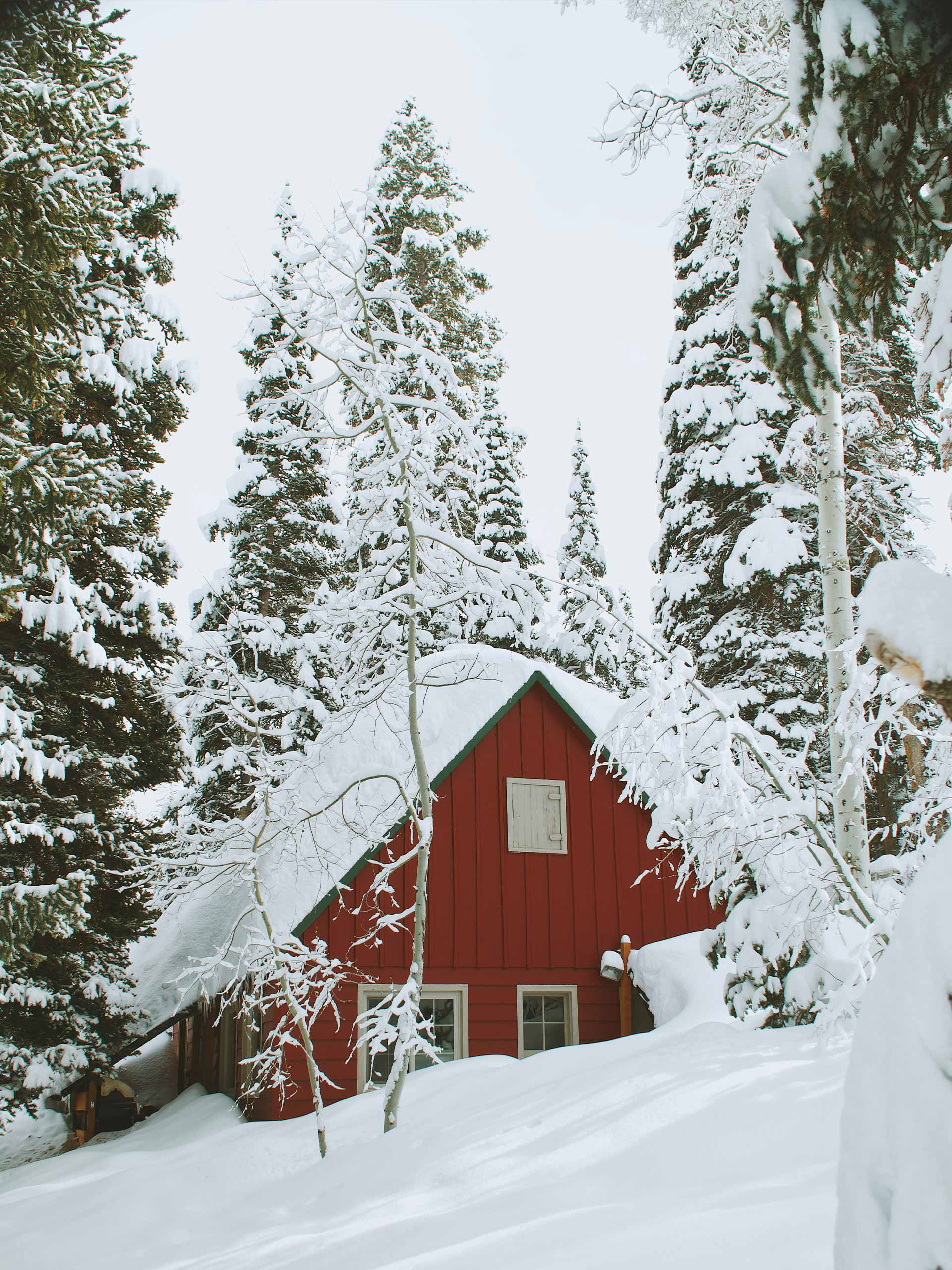 chalet-chic-holding-greg-rakozy-unsplash