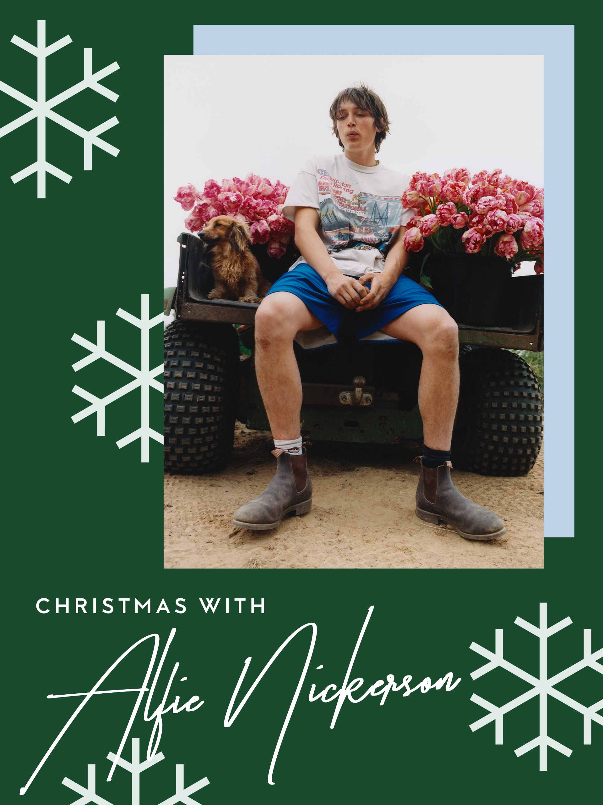 christmaswith-smallsnowflakes-portrait-alfienickerson